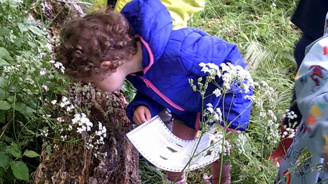 Summer Forest School – Visit One