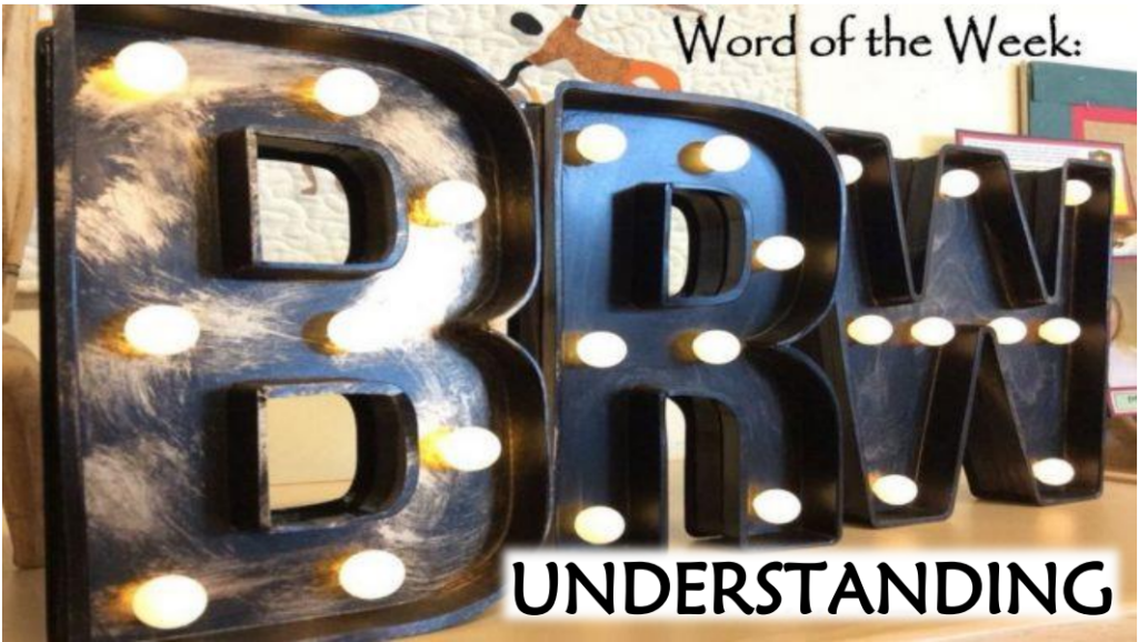 Word of the Week - Understanding