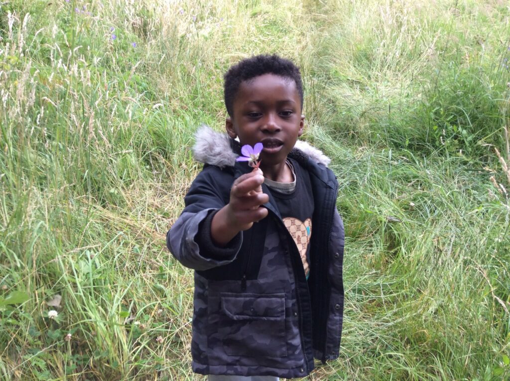 Looking for Ladybirds and Browsing for Butterflies