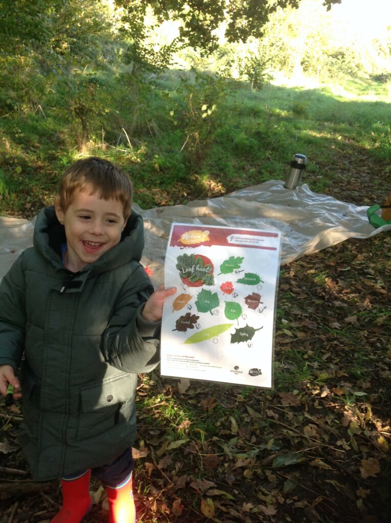 A Windy Walk to the Woods
