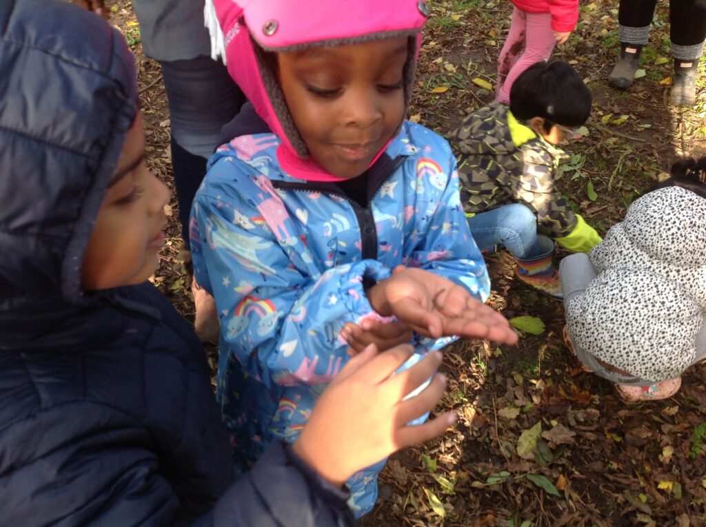 Working together to create homes for woodland creatures