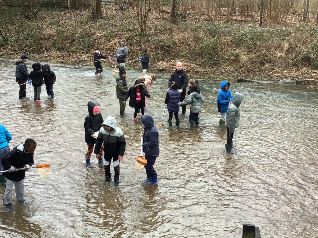 Rivers and Raiders: Y4's Trip to Perlethorpe!