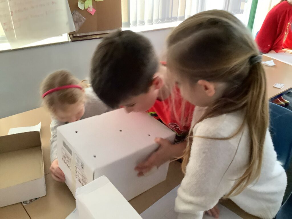 Let there be Light... in Year 3!