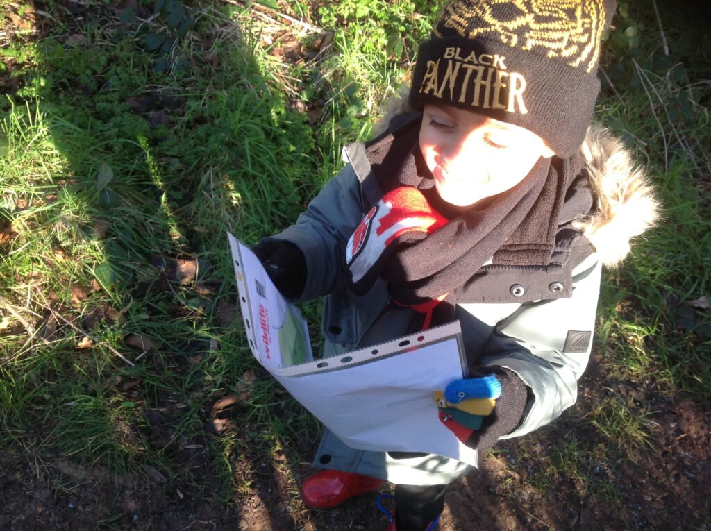 A cold and frosty morning in the woods