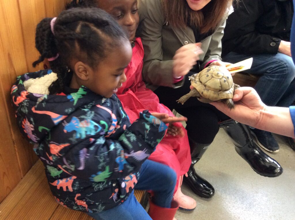 Fabulous FS trip to the Farm!