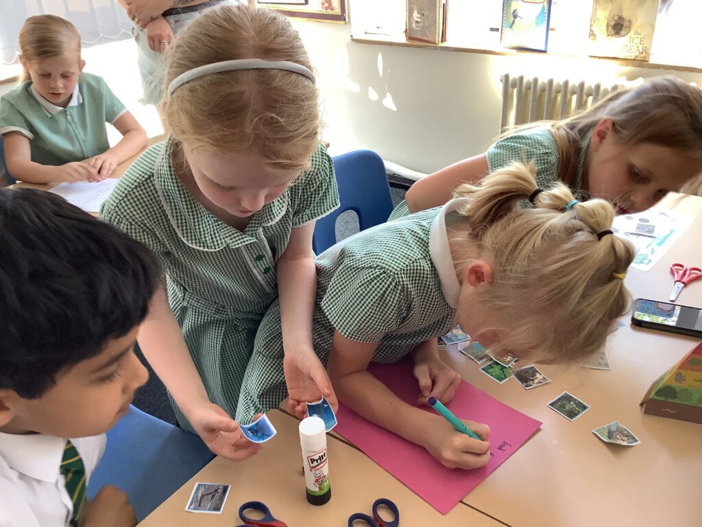 Year 3 Makes Links with Food Chains!