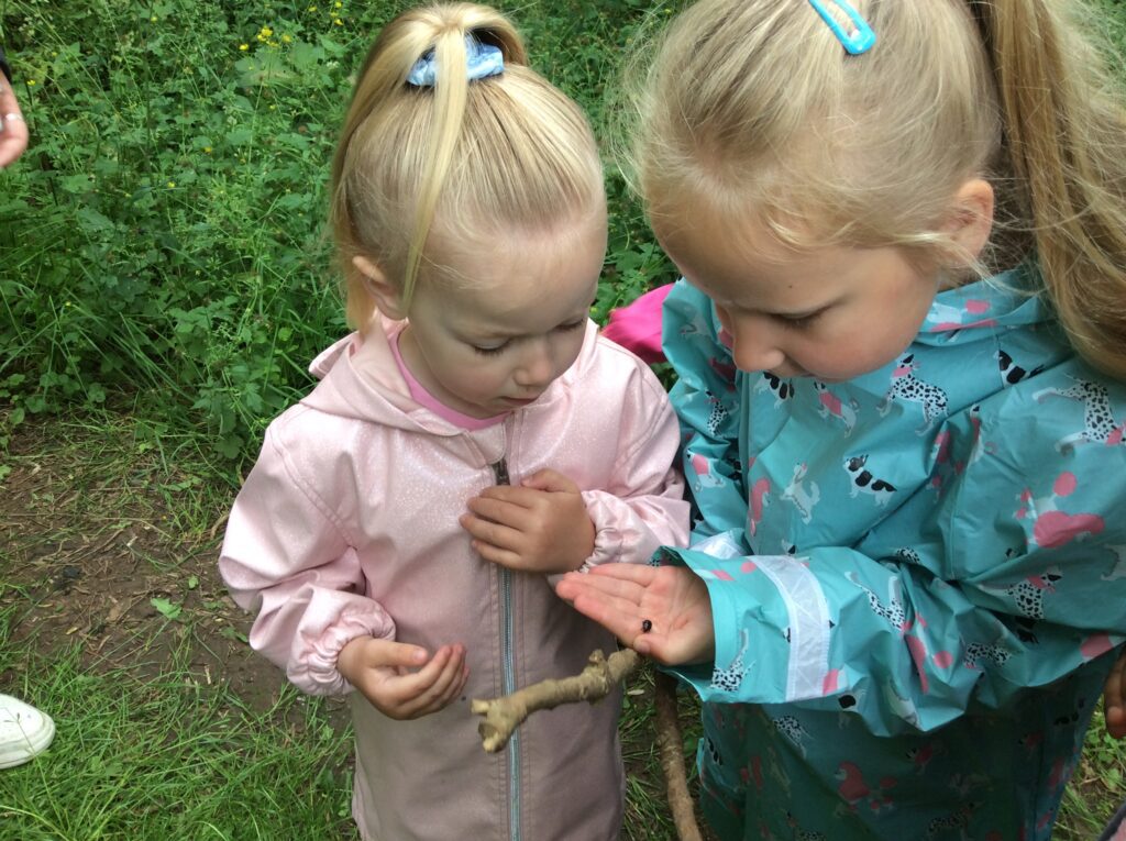 Forest School - looking for ladybirds!