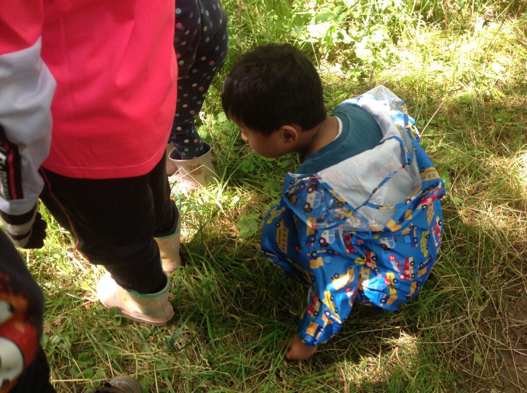 Ladybirds, where are you?