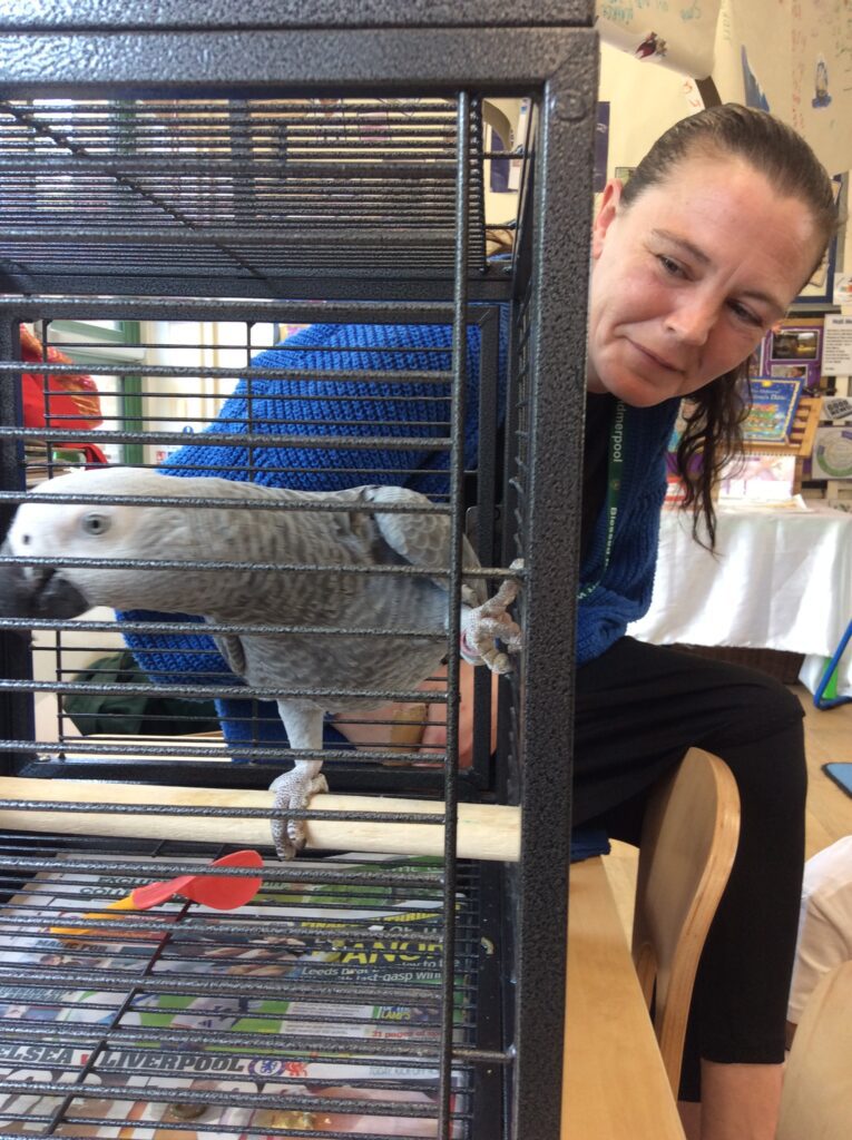 Hello Barney! Hello Barney!