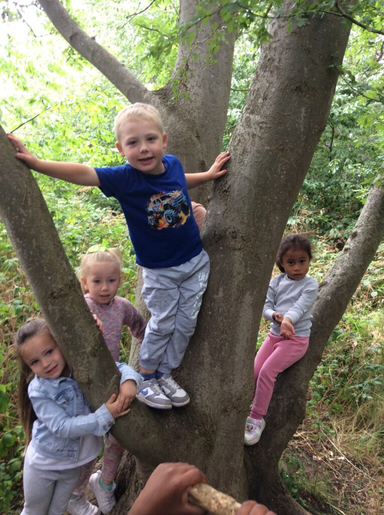 Stewards of the Earth - caring for our Forest School